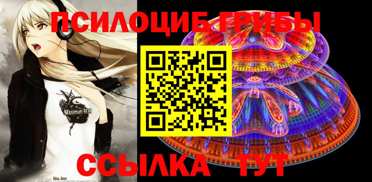 Псилоцибиновые грибы Cubensis Малоярославец