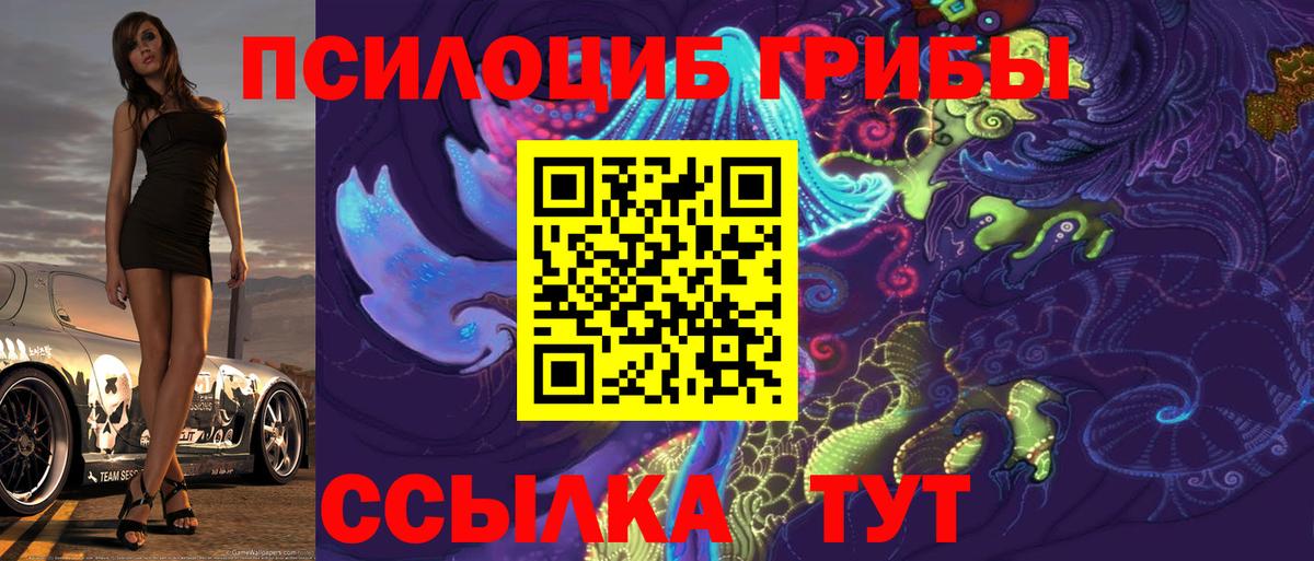 Псилоцибиновые грибы Cubensis  даркнет сайт  Малоярославец  Вход с VPN 