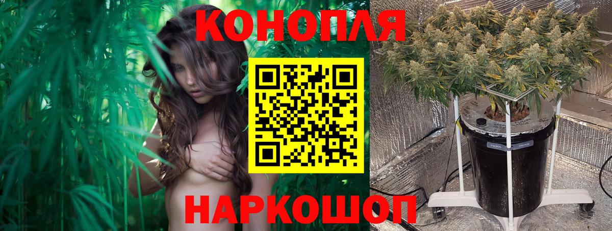 Конопля VHQ Малоярославец